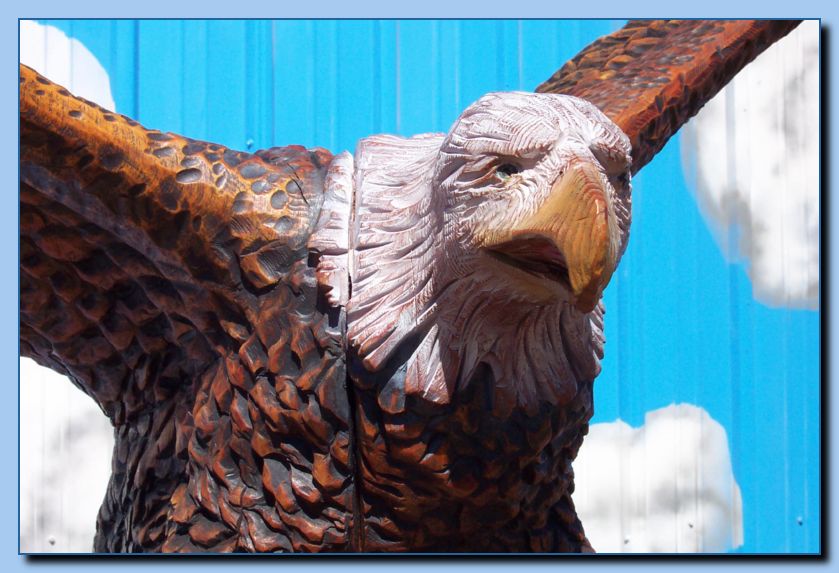 2-15 eagle with wings out, attached -archive-0005
